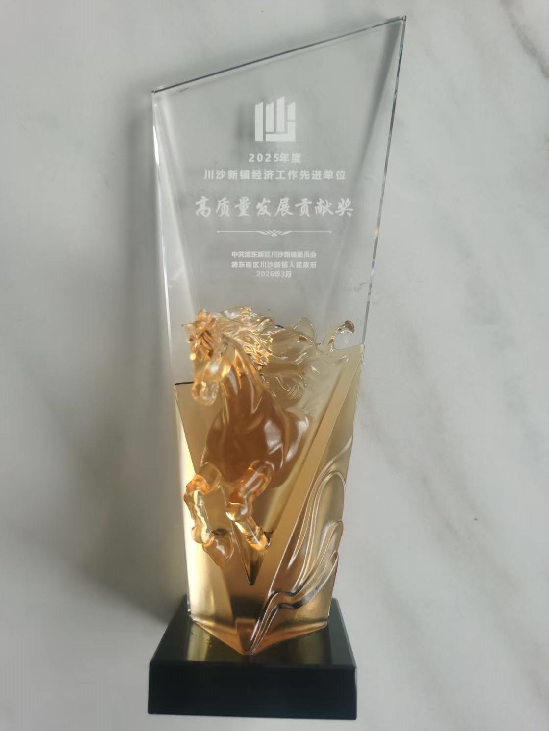 2025 High-Quality Development Contribution Award