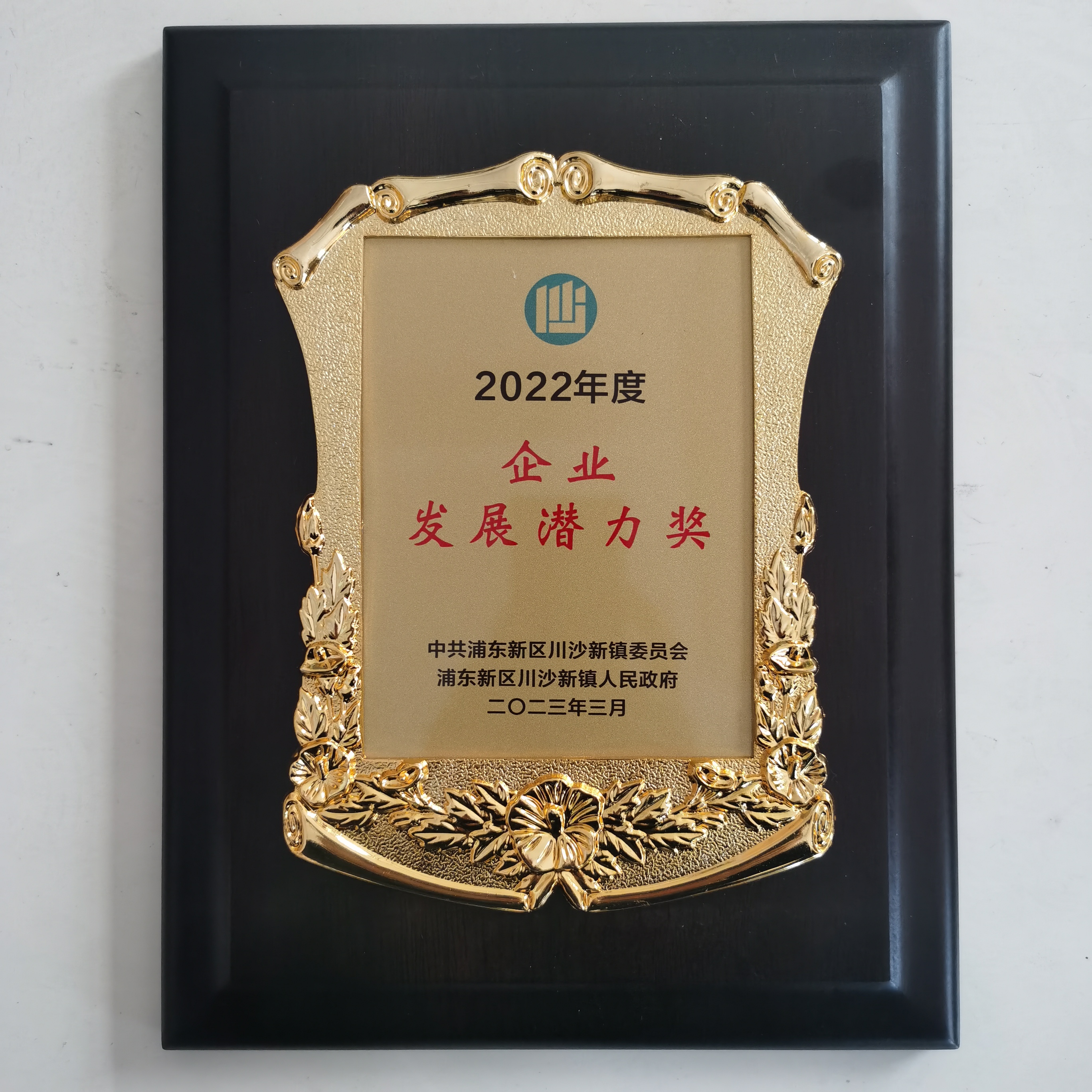 Enterprise Development Potential Award